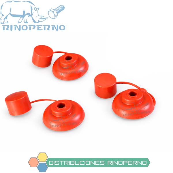 CAPUCHÓN ROJO